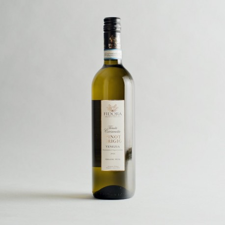 Fidora Pinot Grigio