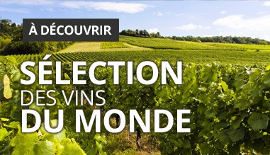 notre sélection des vins du monde